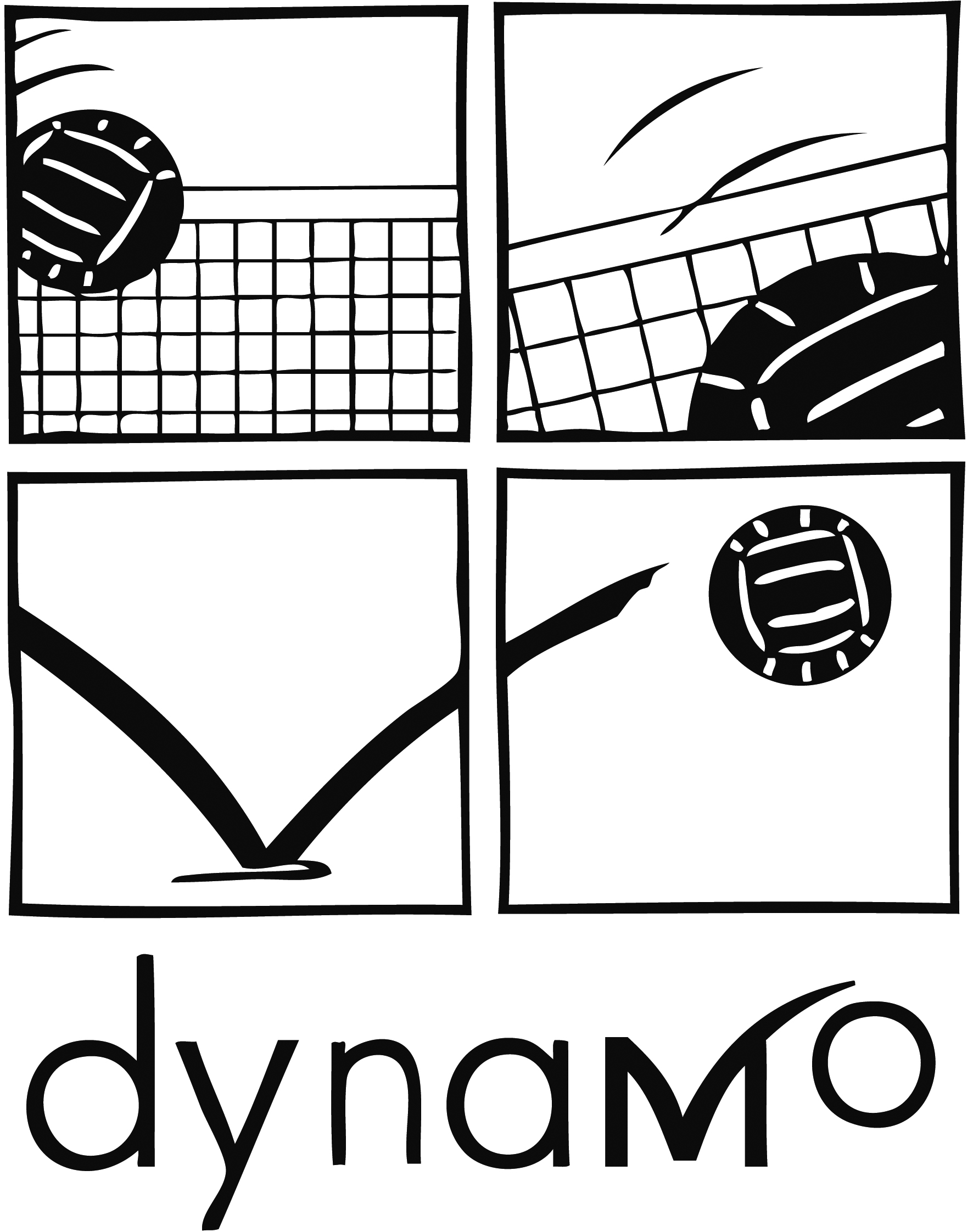 Volleybalvereniging Elite/Dynamo
